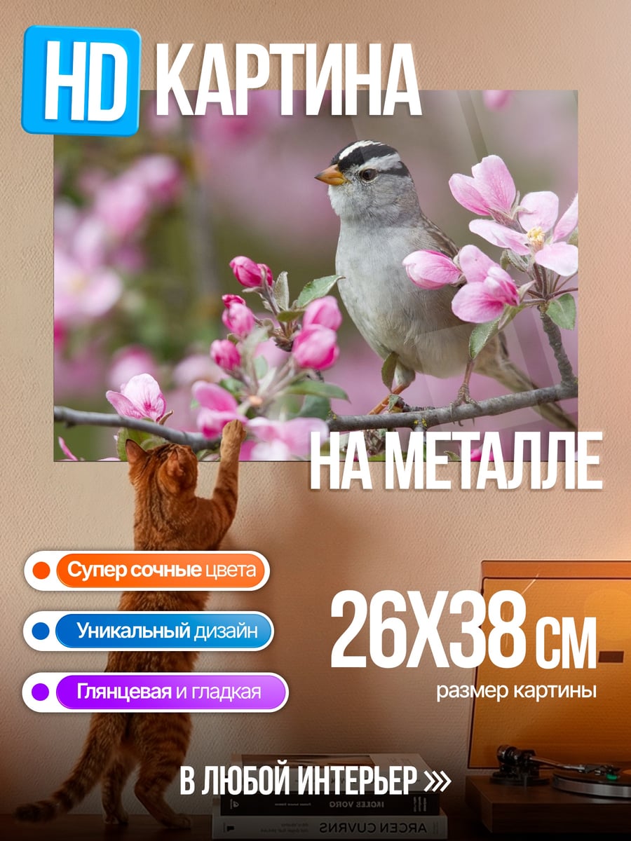 Картина на металле воробей на ветке