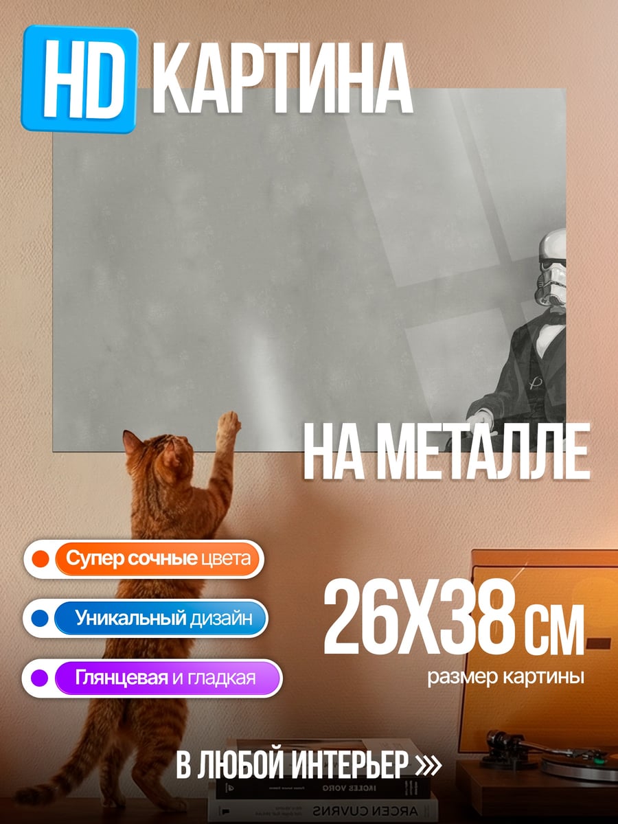 Картина на металле штурмовик в костюме