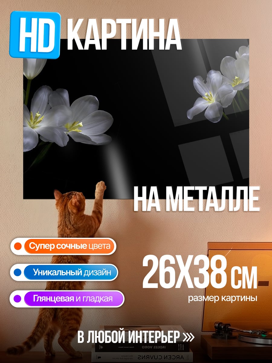 Картина на металле Белые тюльпаны