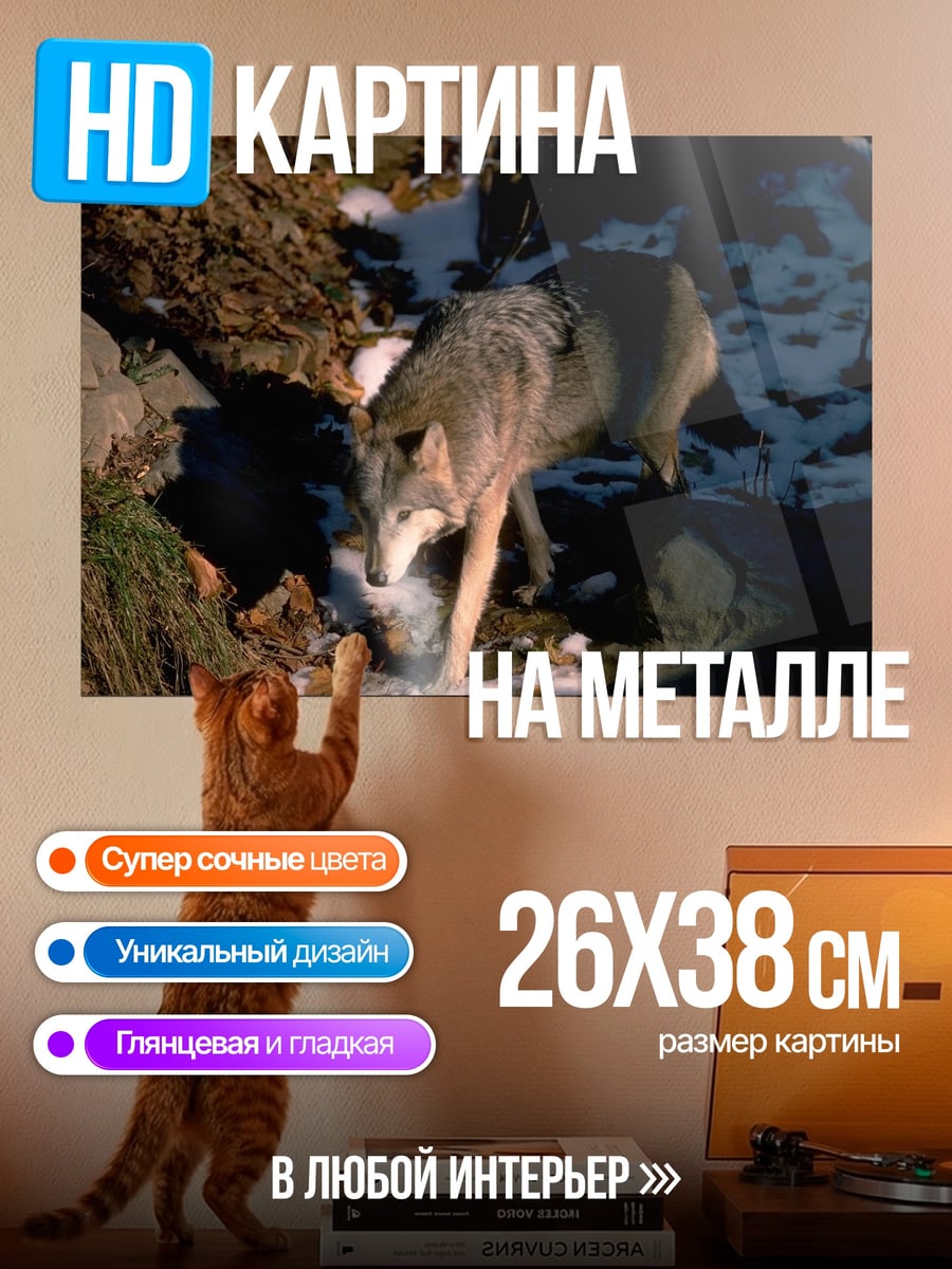 Картина на металле Волк в лесу