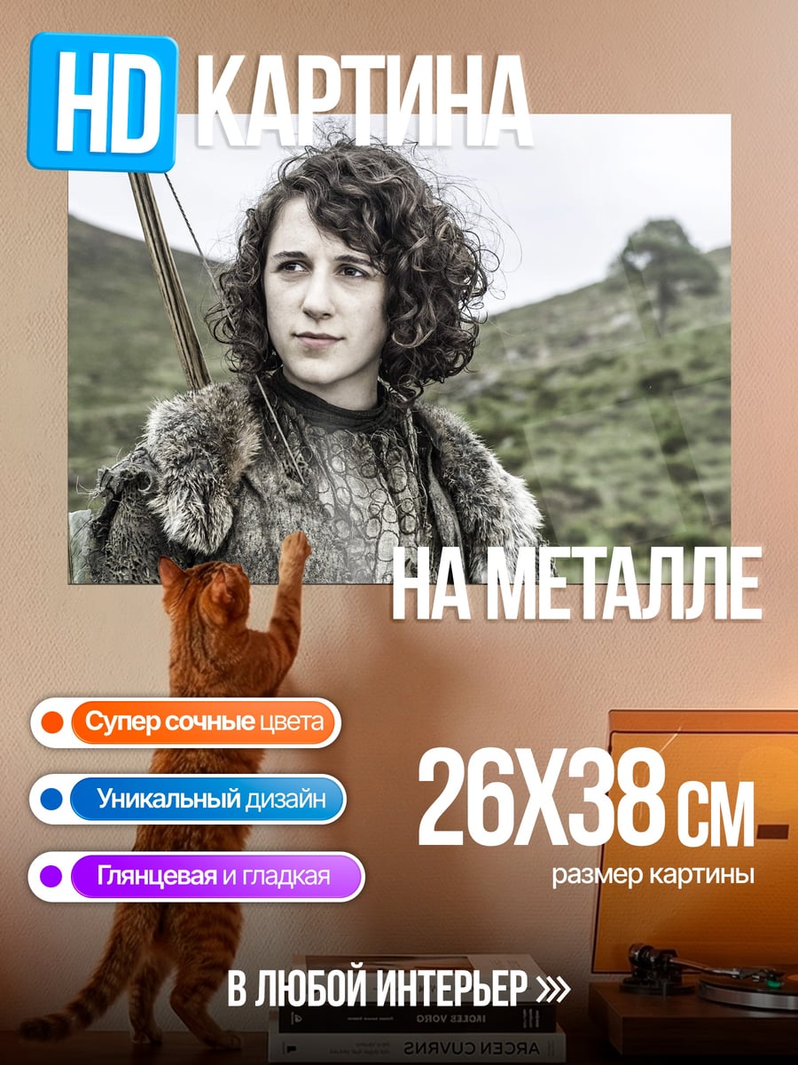 Картина на металле Арчер из Игры Престолов