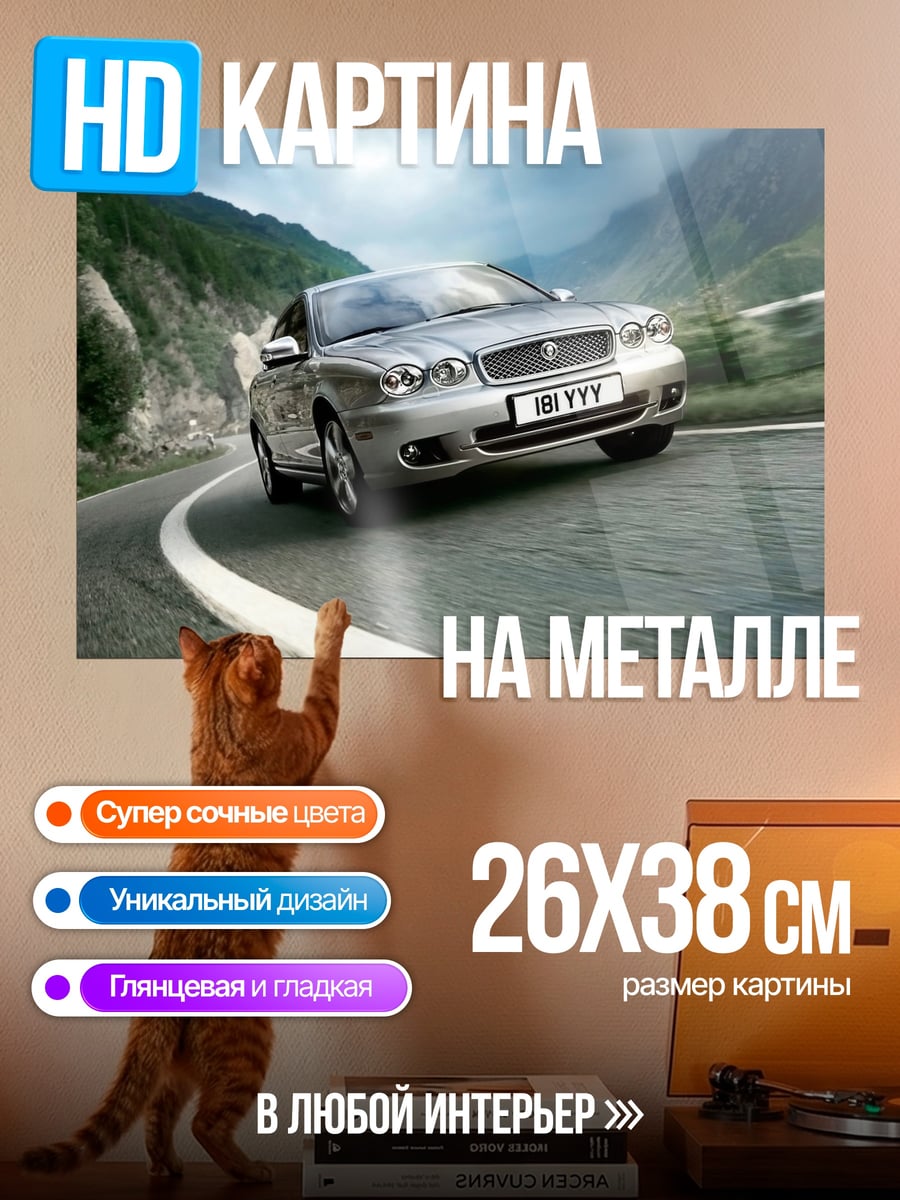 Картина на металле спортивный автомобиль на дороге