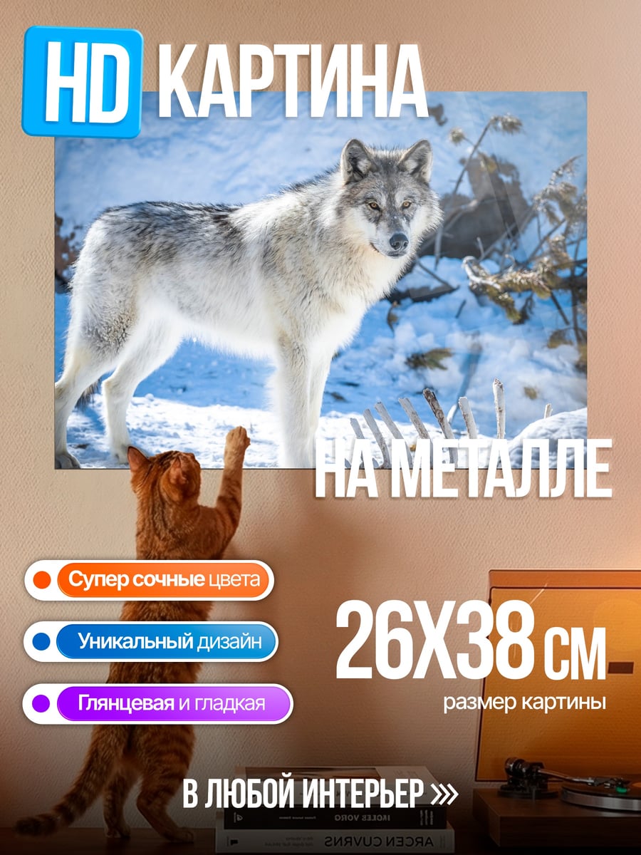 Картина на металле Белый волк зимой