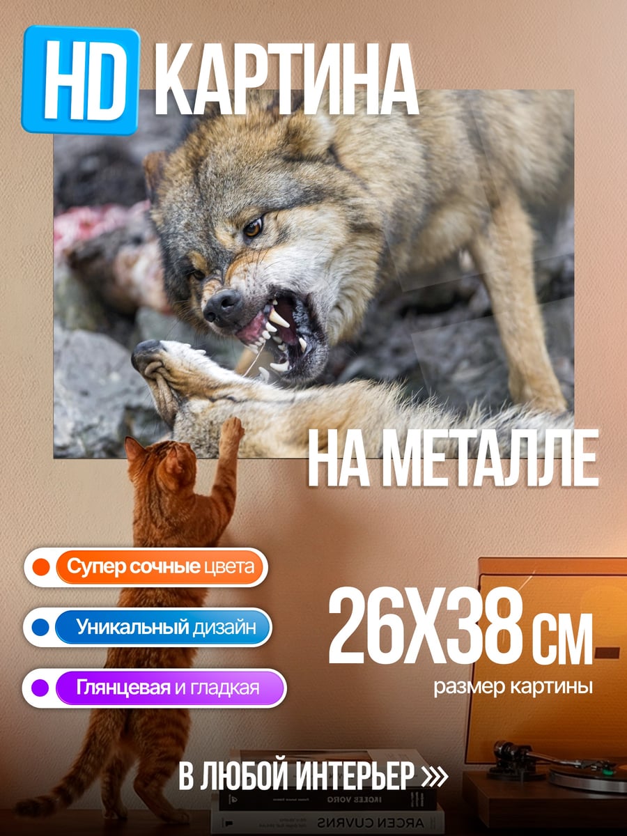 Картина на металле Битва волков