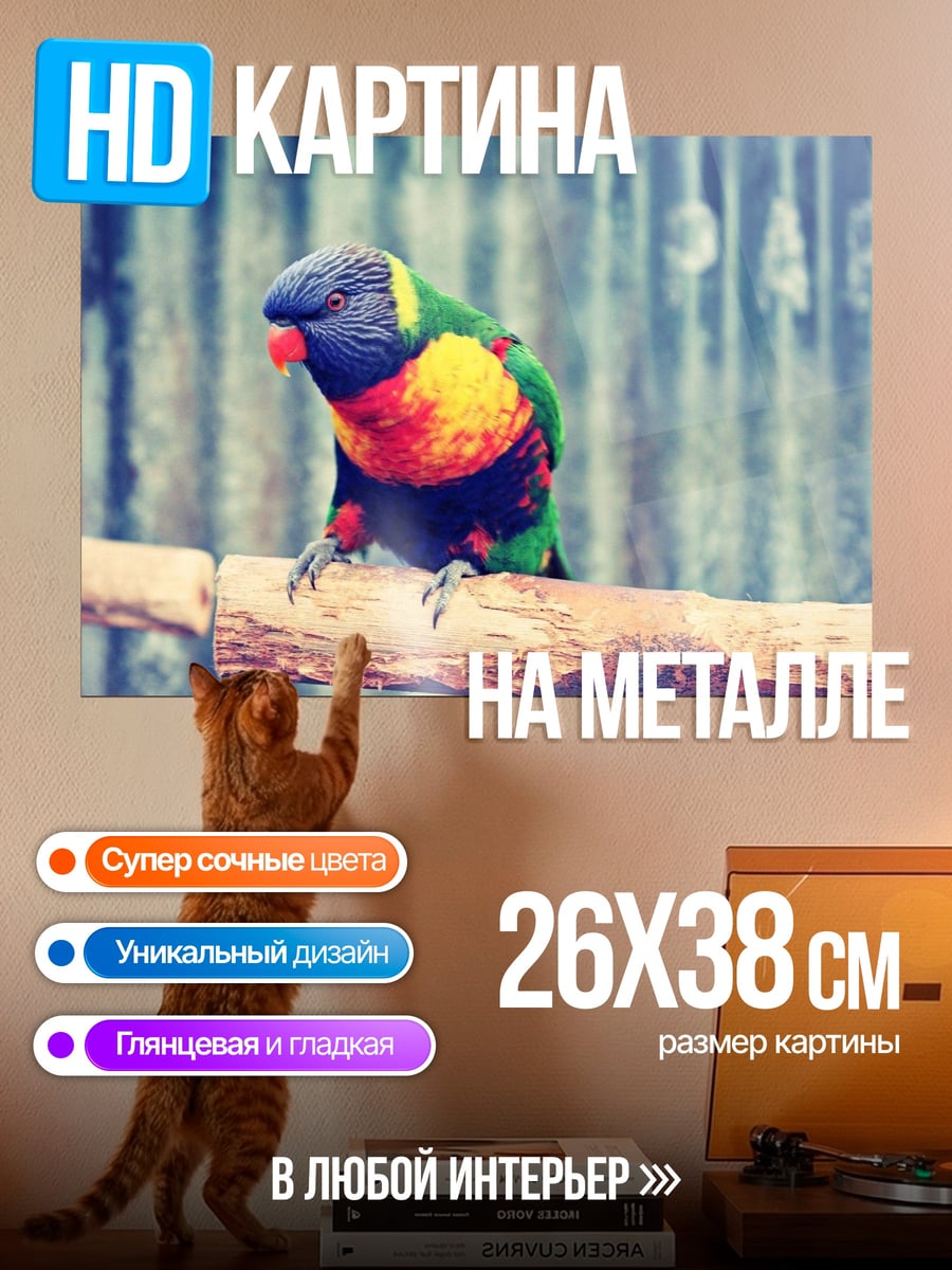 Картина на металле Радужный попугай сидит