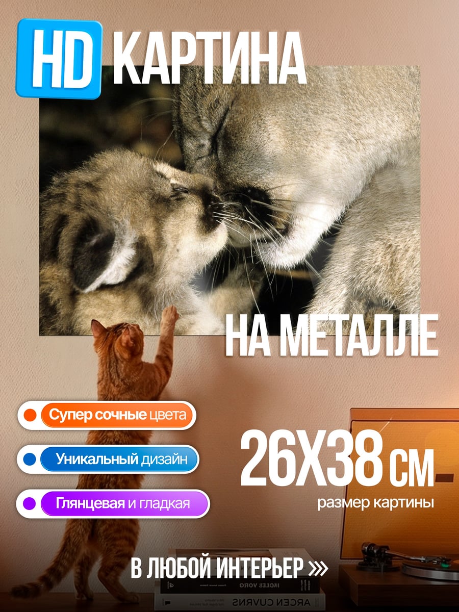 Картина на металле Мама и детеныш пумы