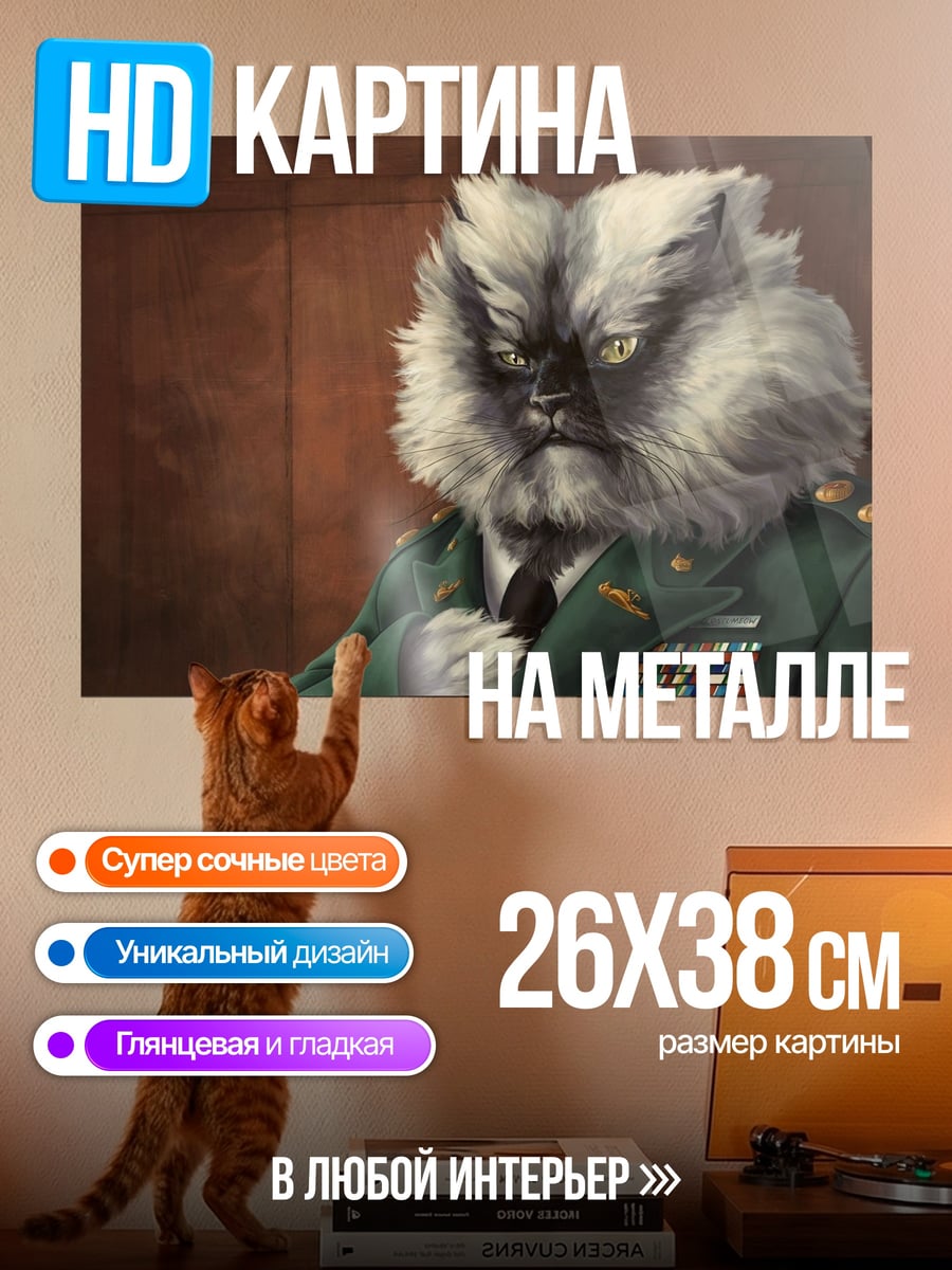 Картина на металле Генерал кот