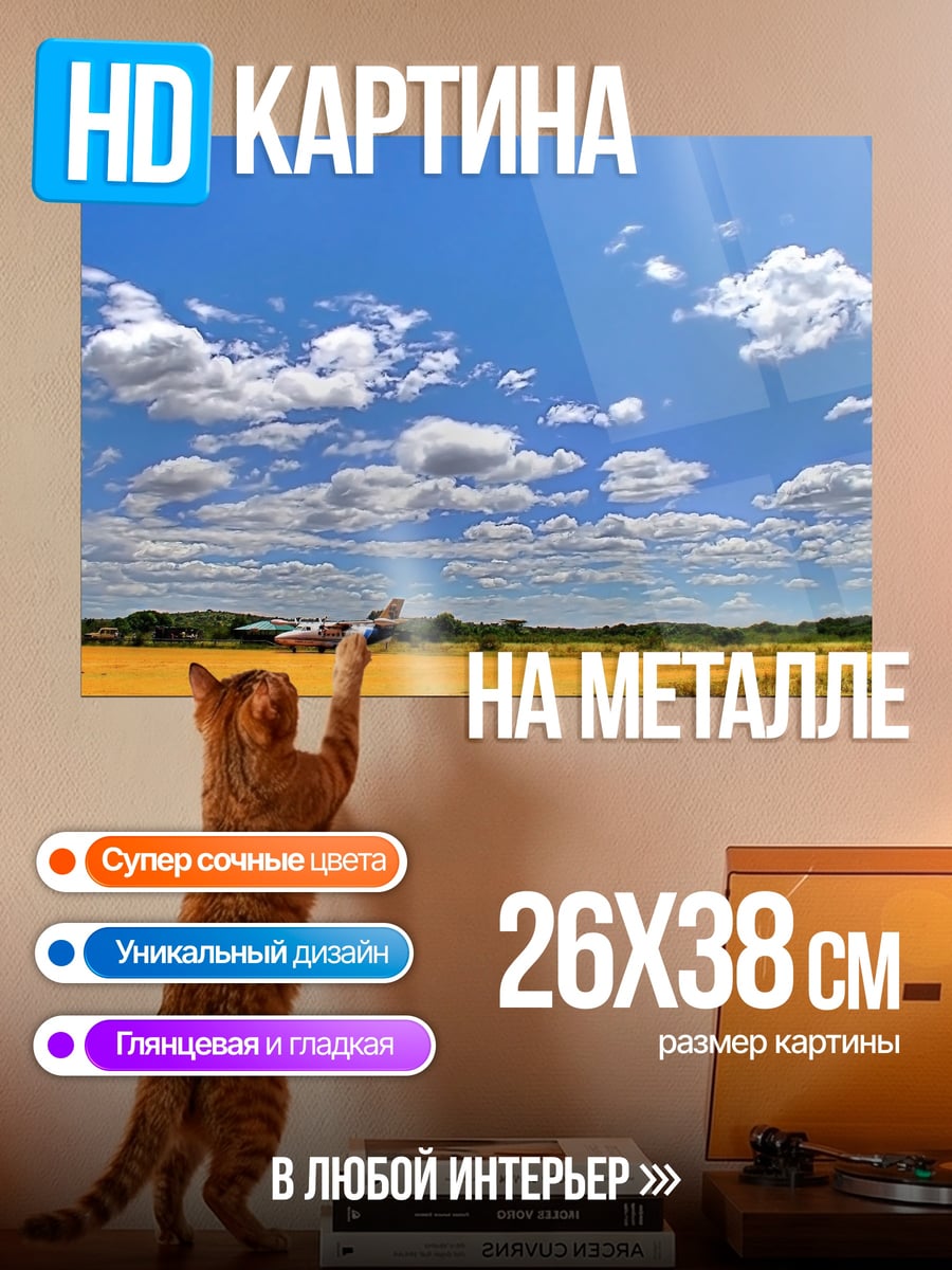 Картина на металле Самолет на поле