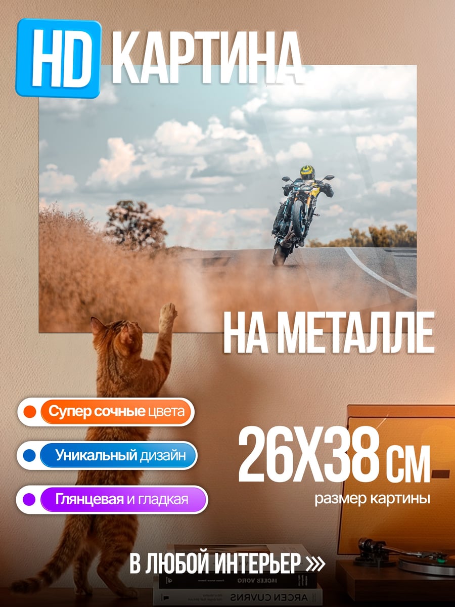 Картина на металле Мотоциклист в пыли