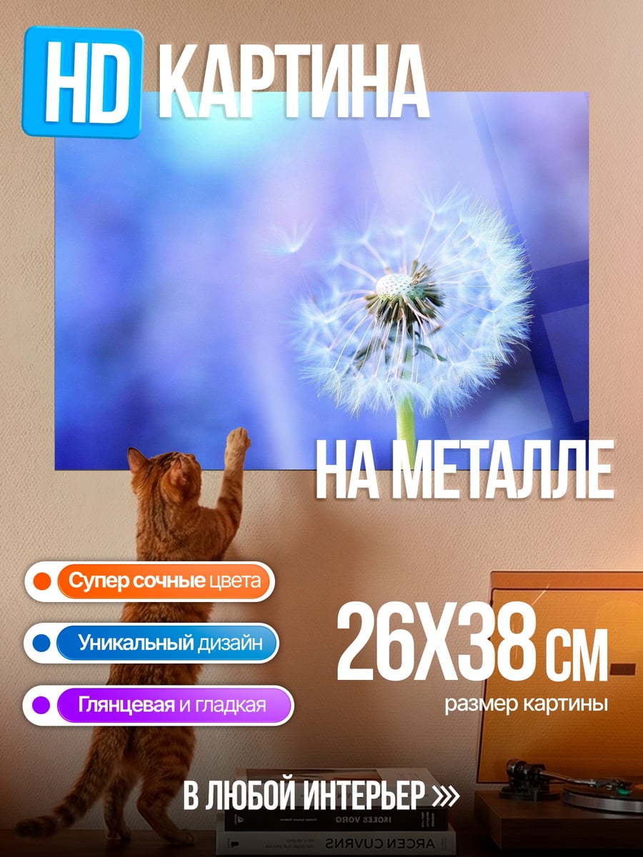 Картина на металле Одуванчик на ветру
