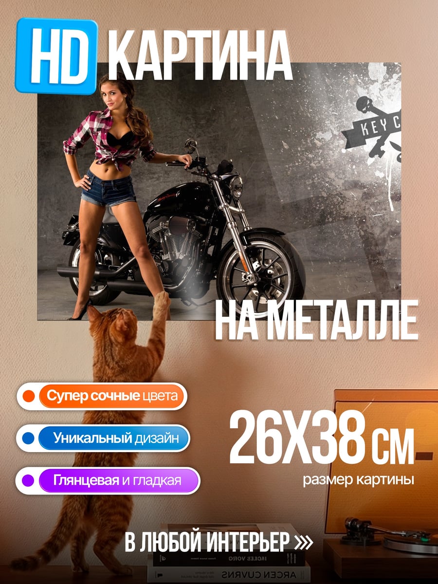 Картина на металле Девушка с мотоциклом