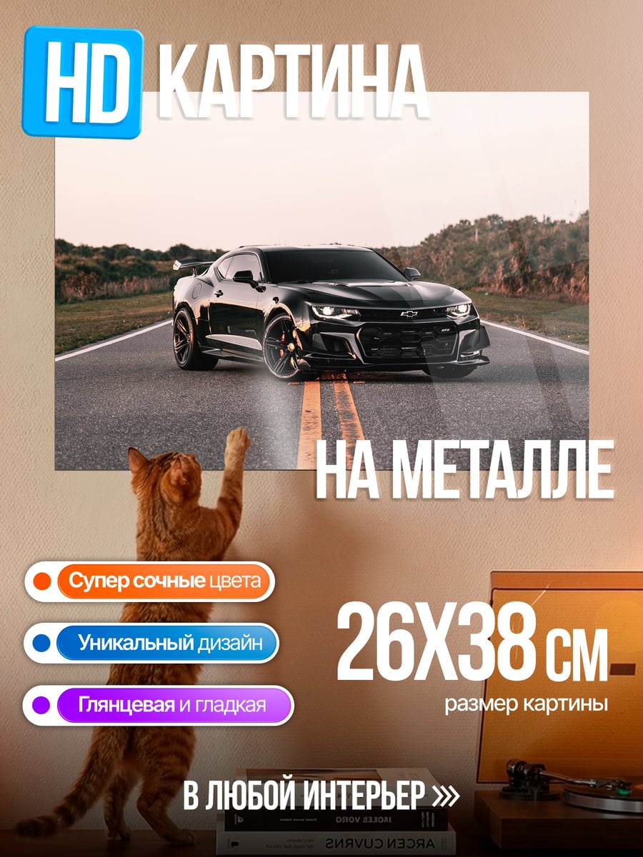 Картина на металле Черный маслкар