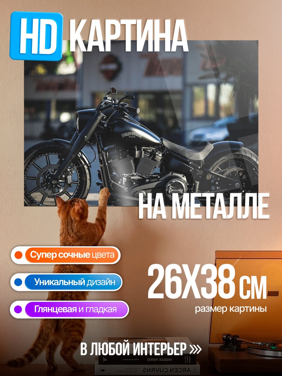 Картина на металле Черный байкер