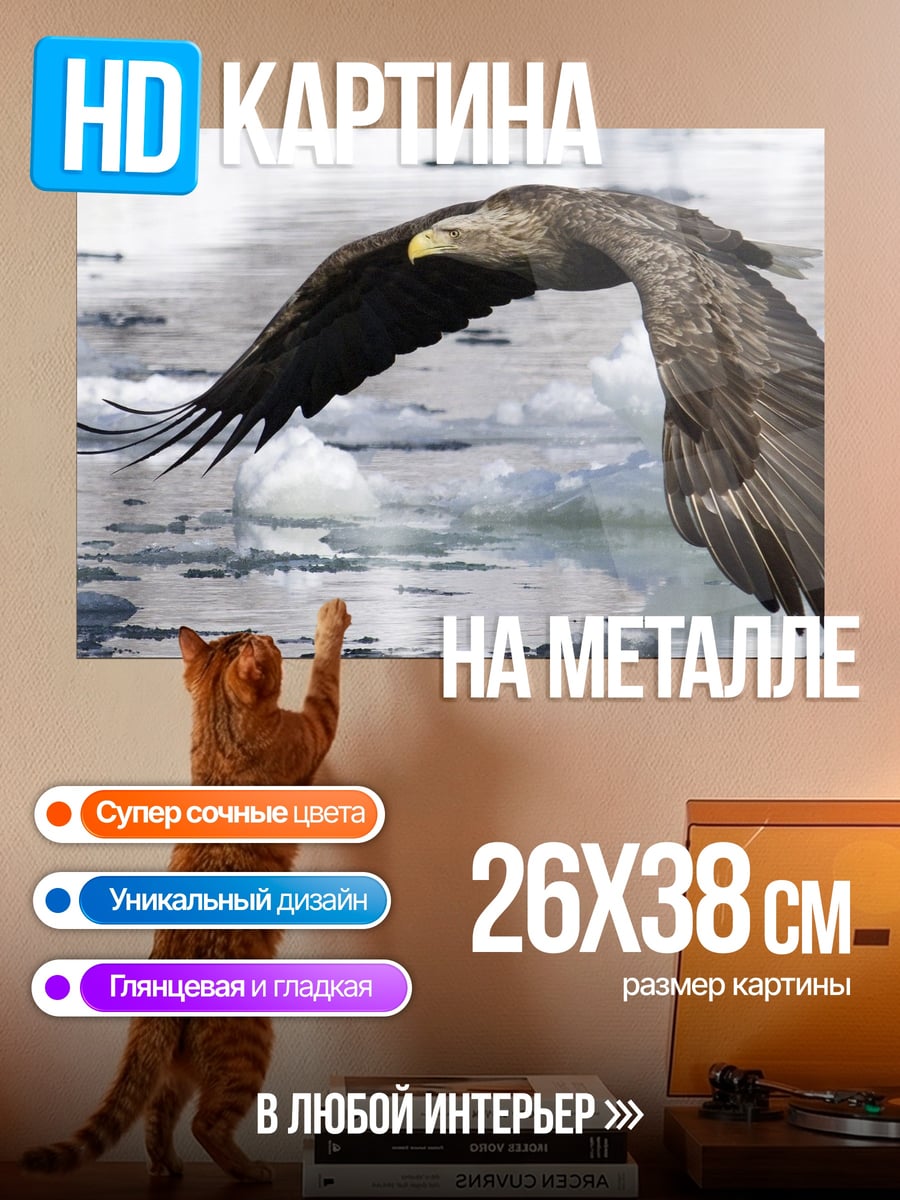 Картина на металле Орел в полете