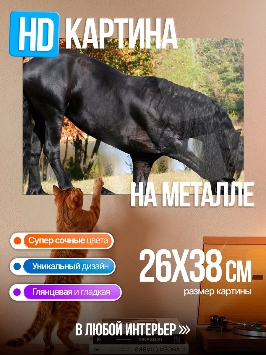 Картина на металле Черный фризский конь