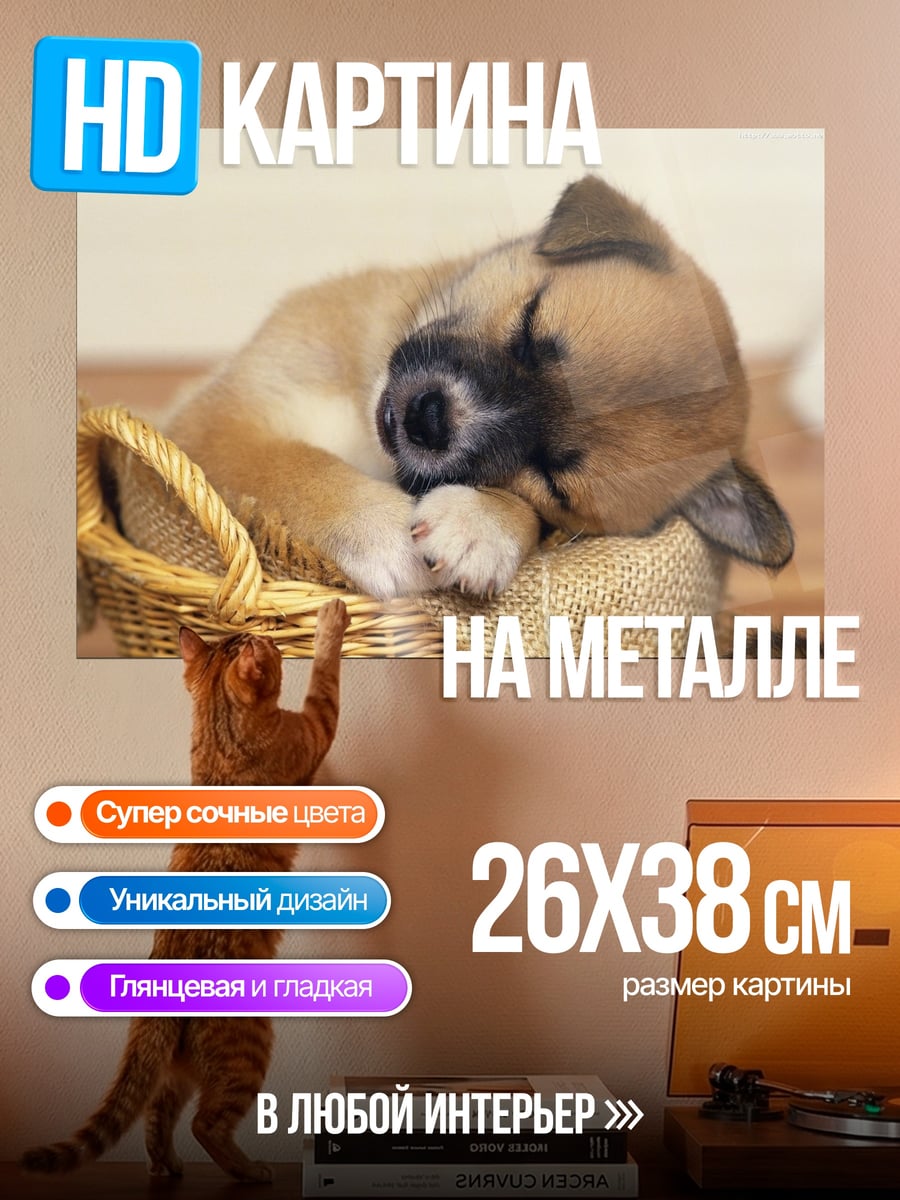 Картина на металле Спящий щенок