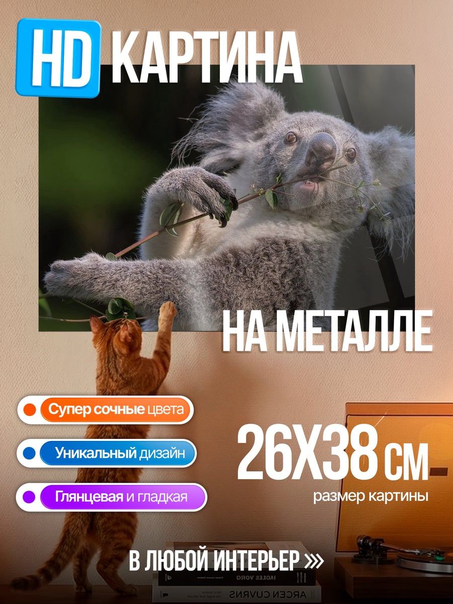 Картина на металле Коала