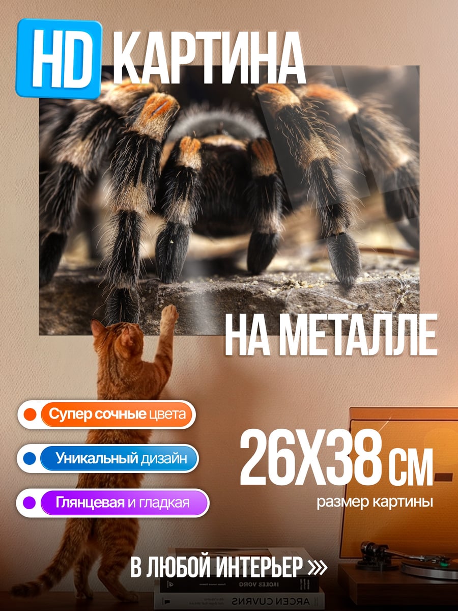 Картина на металле Паук тарантул