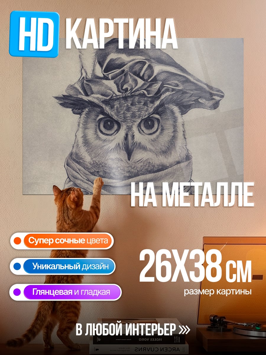 Картина на металле Сова в шляпе