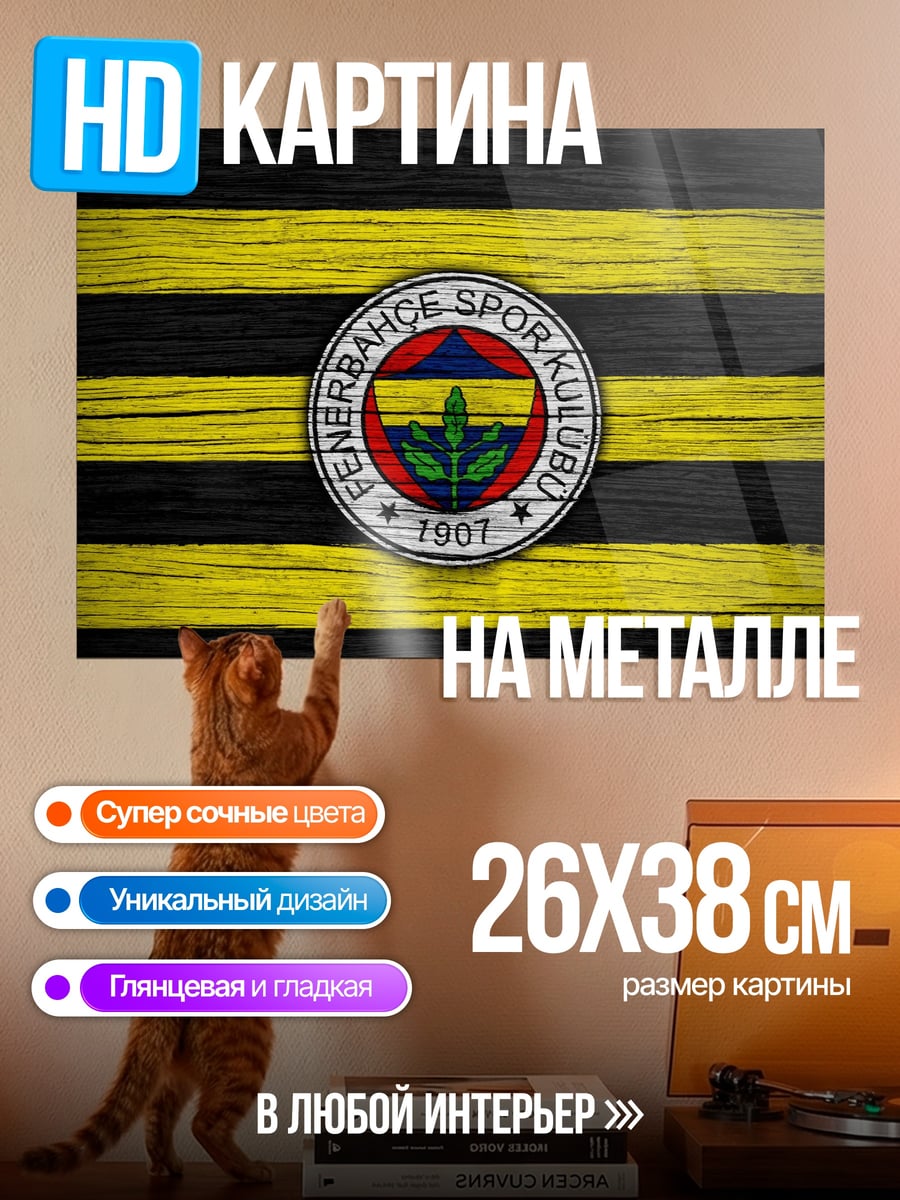 Картина на металле Фенербахче клуб