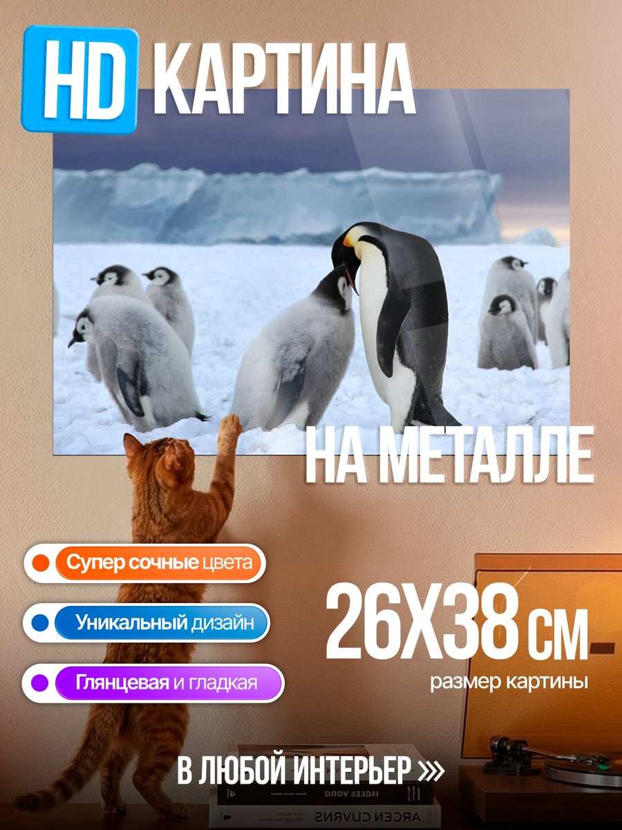 Картина на металле Пингвины в снегу