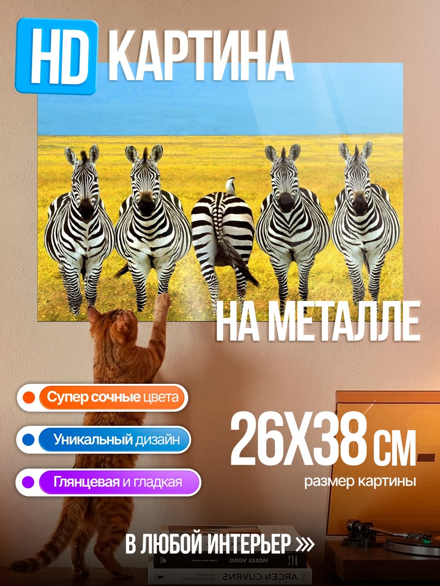 Картина на металле Стадо зебр