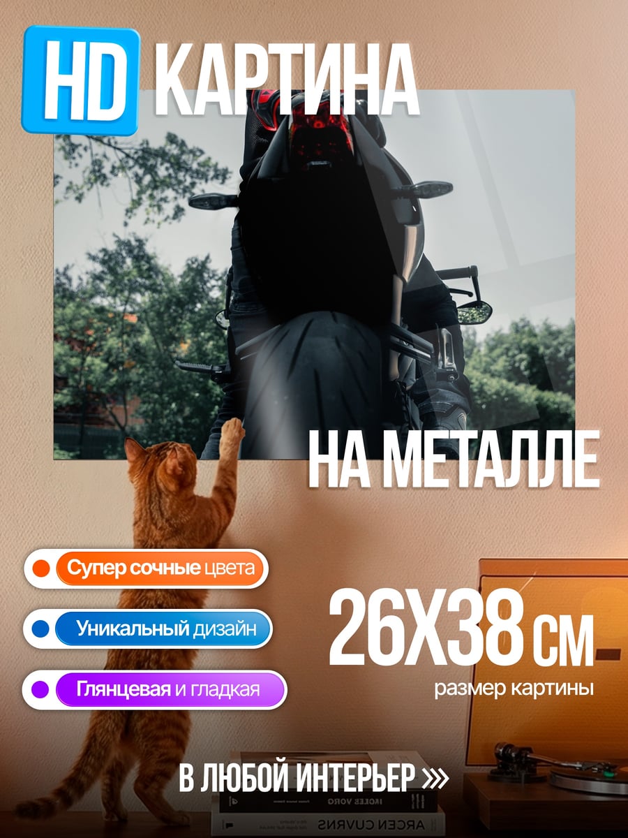 Картина на металле байкер в шлеме