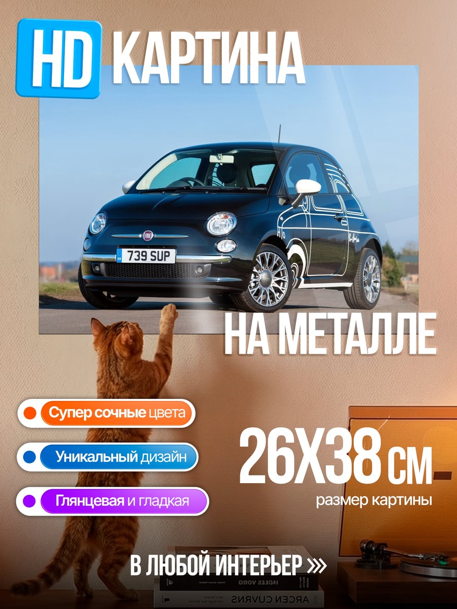 Картина на металле Fiat 500