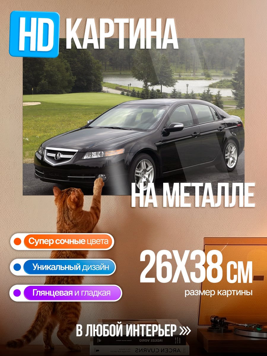 Картина на металле Acura TL