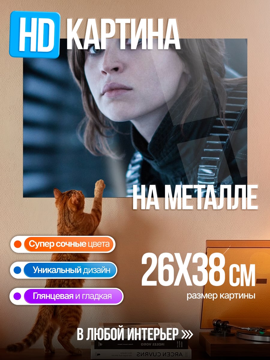 Картина на металле Джейса Рей из Звёздных Войн
