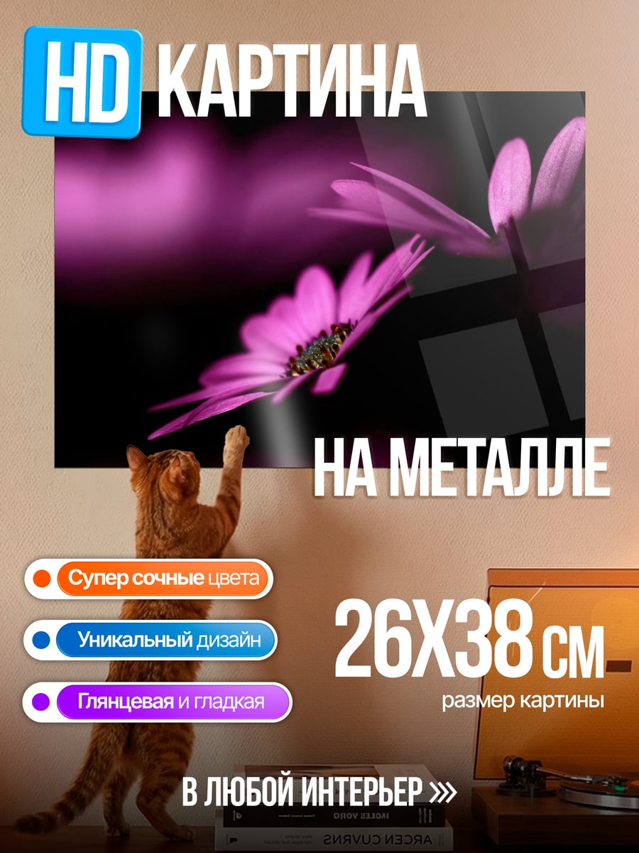 Картина на металле Розовые цветы на чёрном