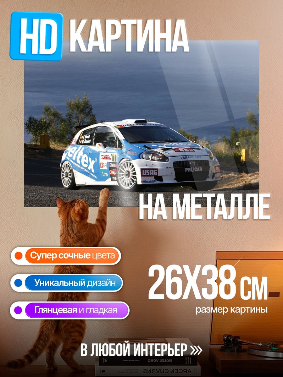 Картина на металле Ралли автомобиль