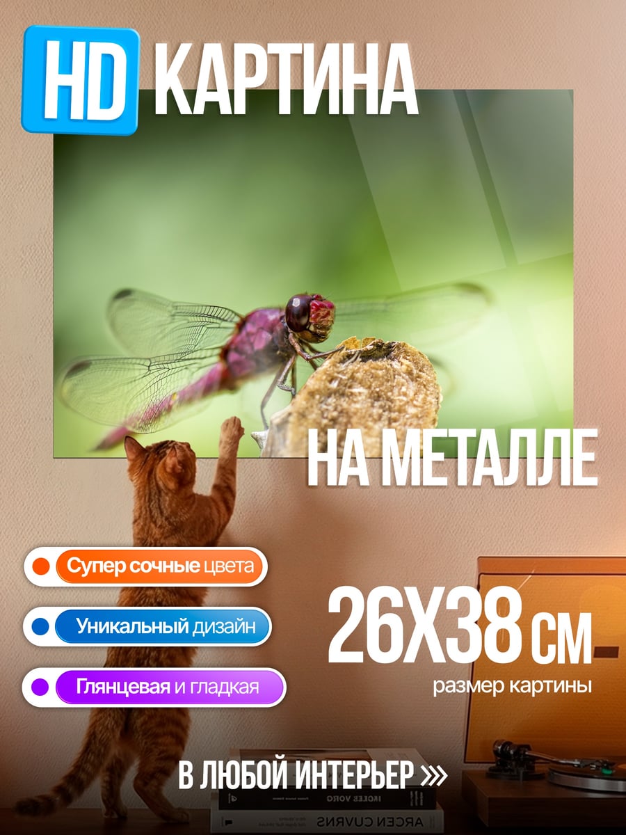 Картина на металле Розовая стрекоза