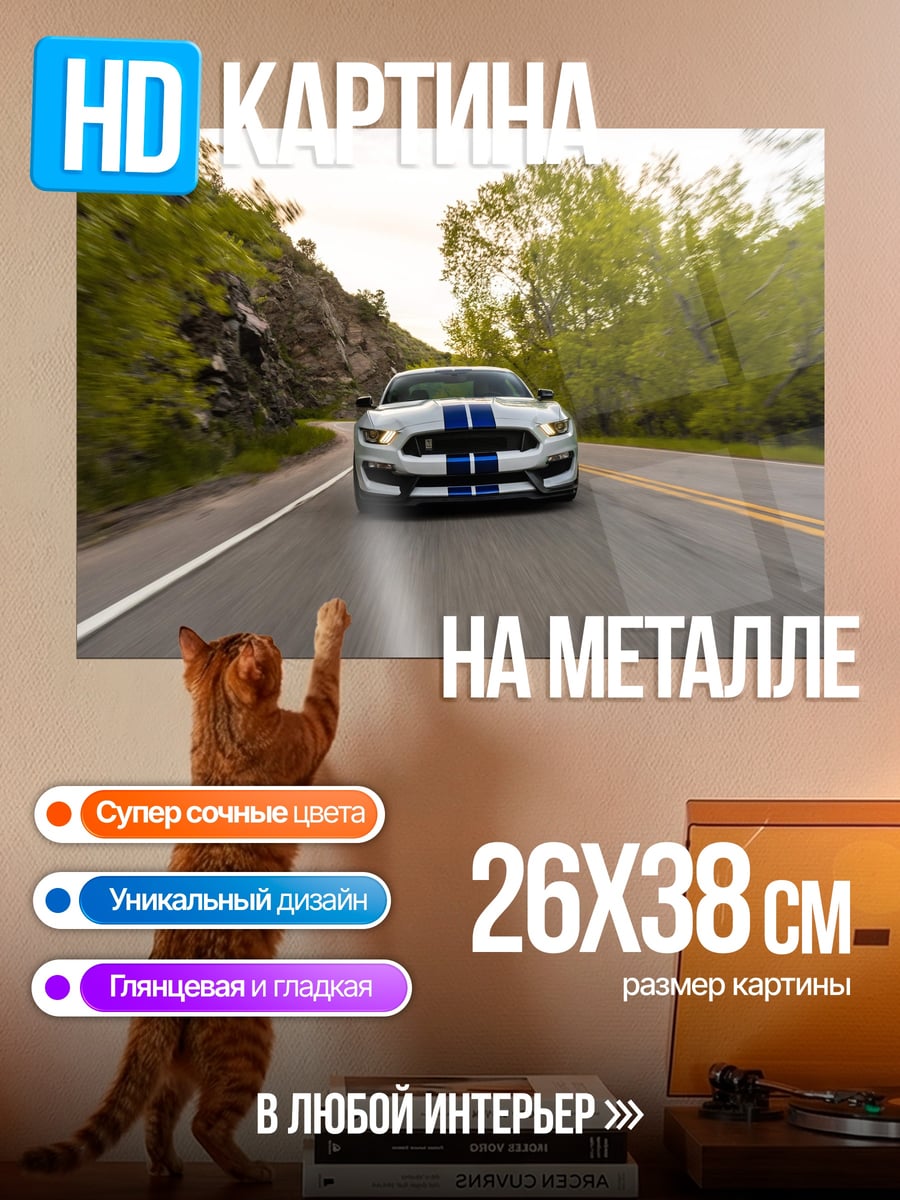 Картина на металле Спортивный автомобиль Ford