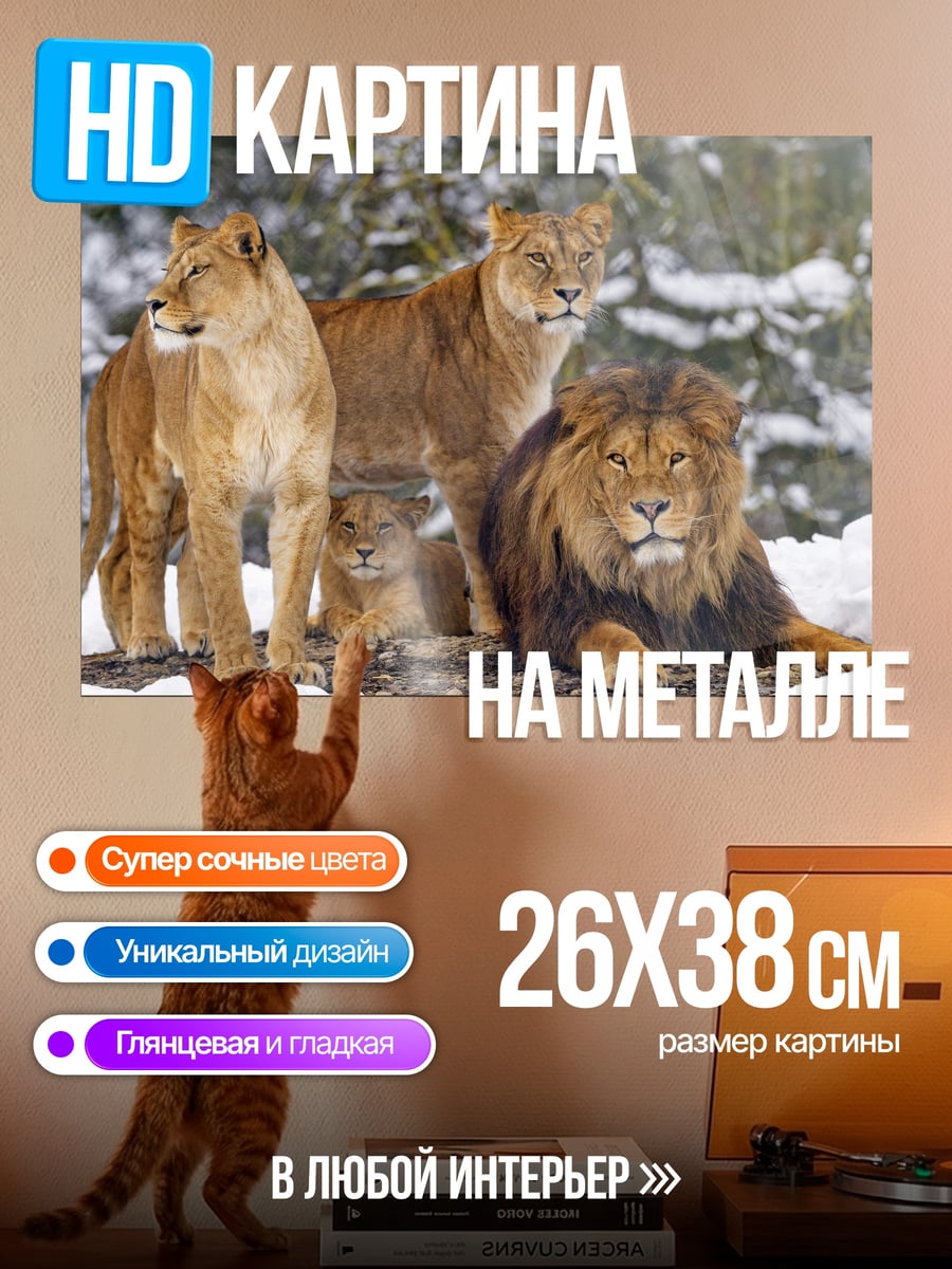 Картина на металле Львиная семья в снегу