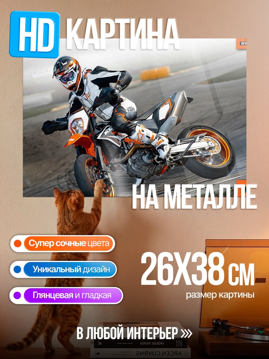 Картина на металле Мотоциклист на треке