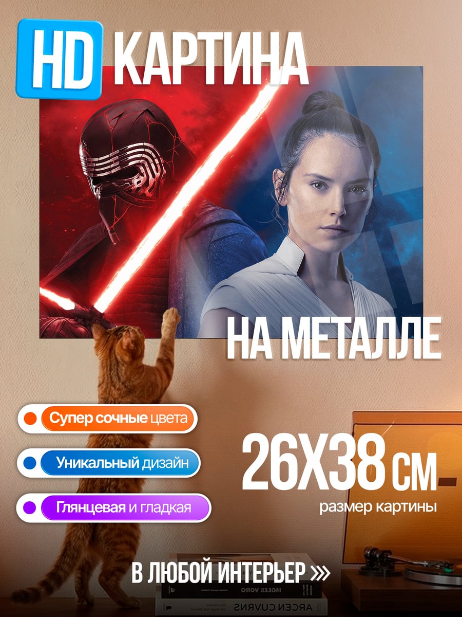Картина на металле Рей и Кайло Рен