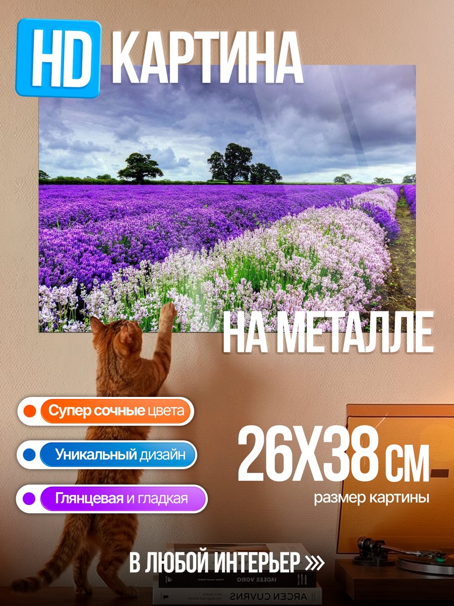 Картина на металле Лавандовое поле