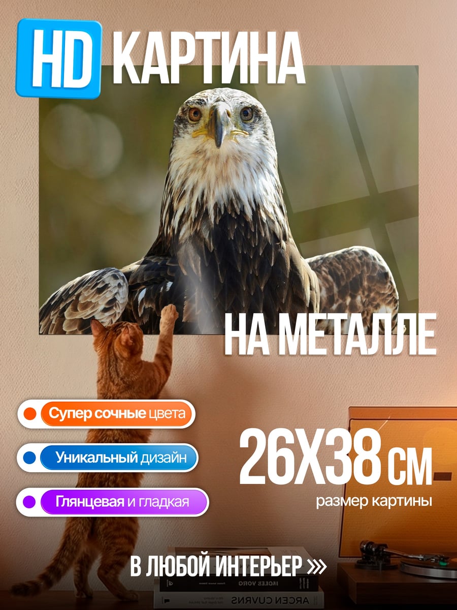Картина на металле Орел смотрит