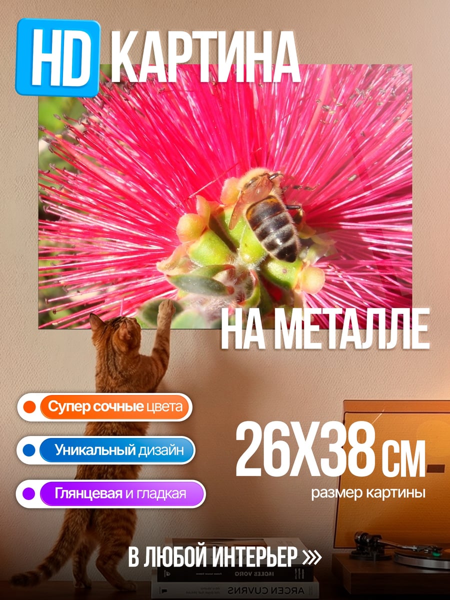 Картина на металле Пчела на цветке