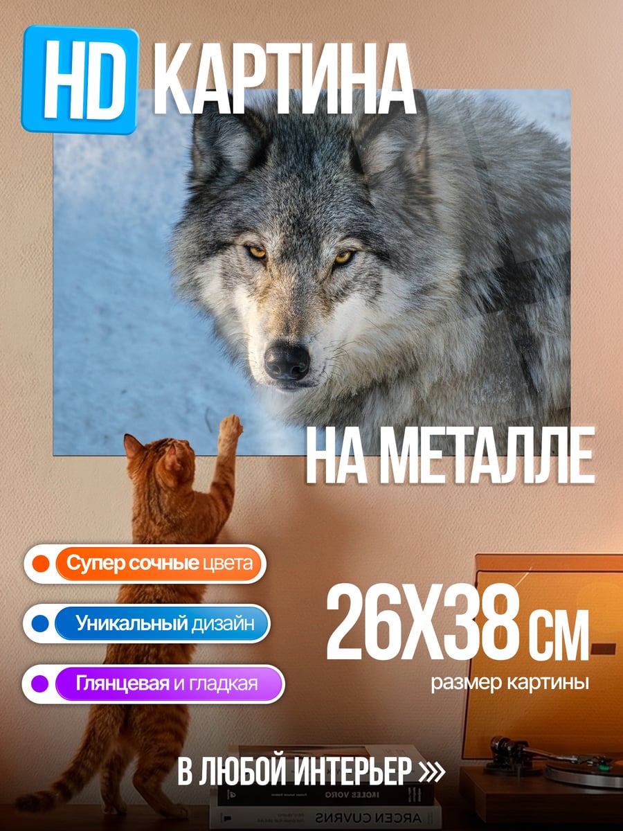 Картина на металле Серьезный волк в снегу