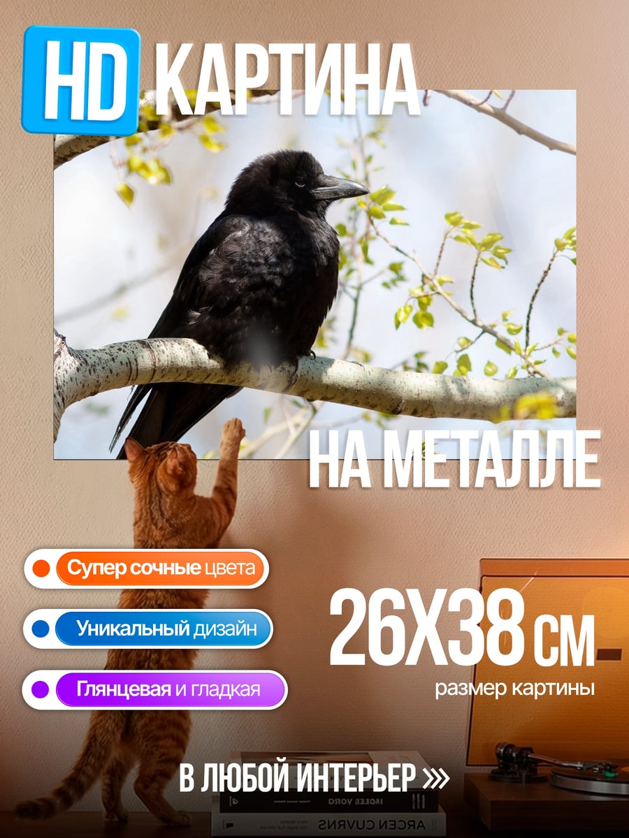 Картина на металле Черная птица на ветке
