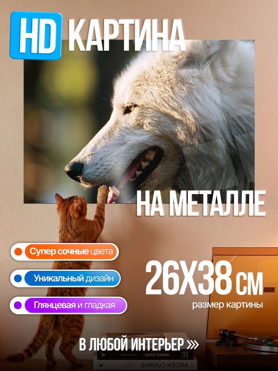Картина на металле Белый волк
