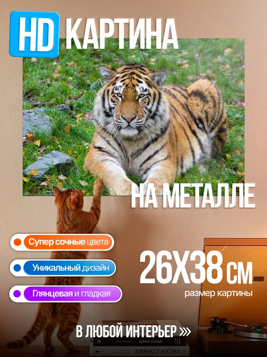 Картина на металле Лежащий тигр