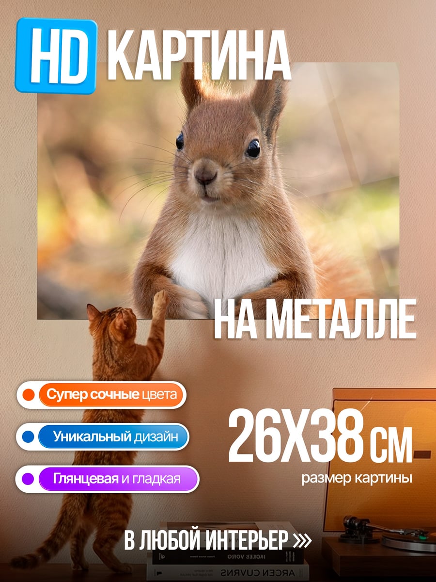 Картина на металле Рыжая белка сидит
