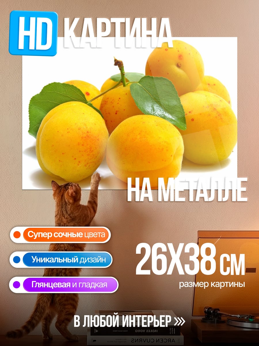 Картина на металле Спелые абрикосы