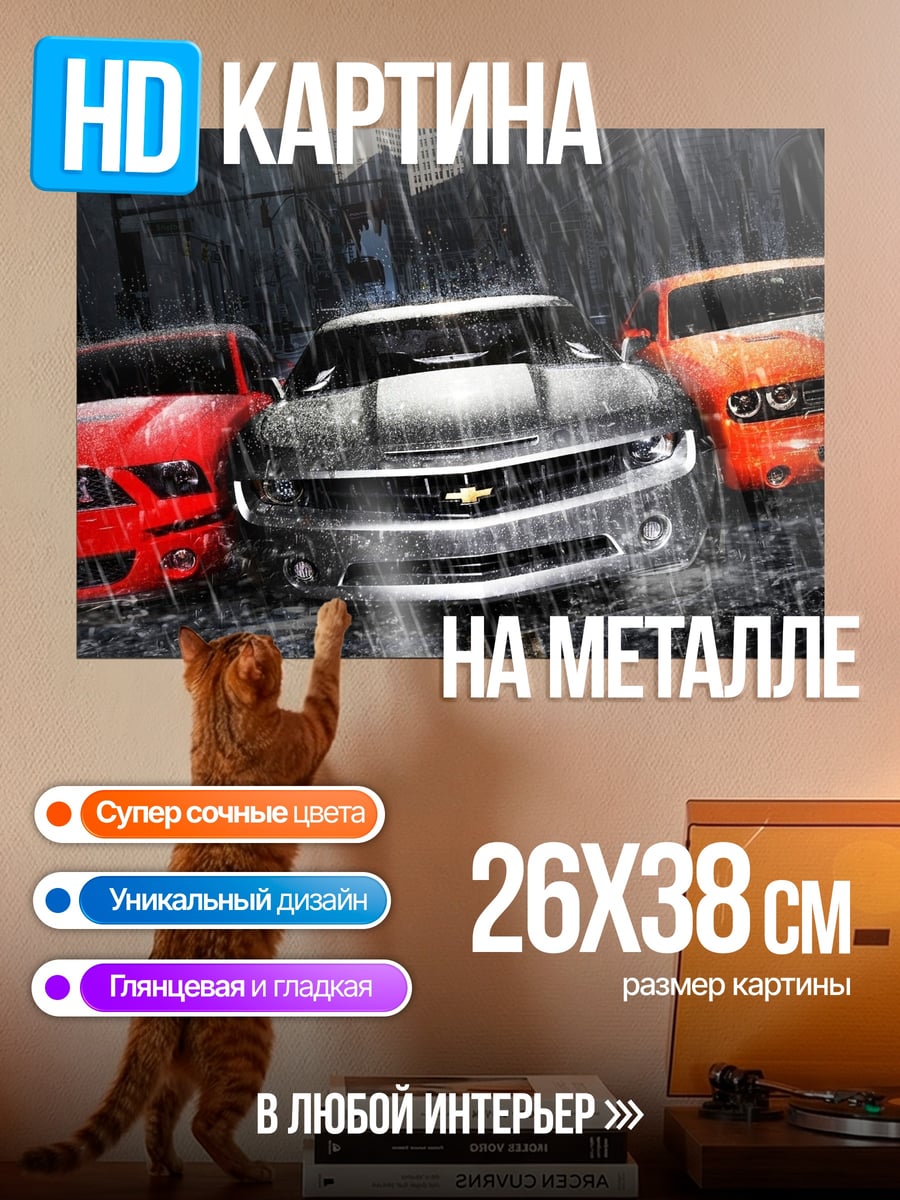 Картина на металле Три машины под дождем
