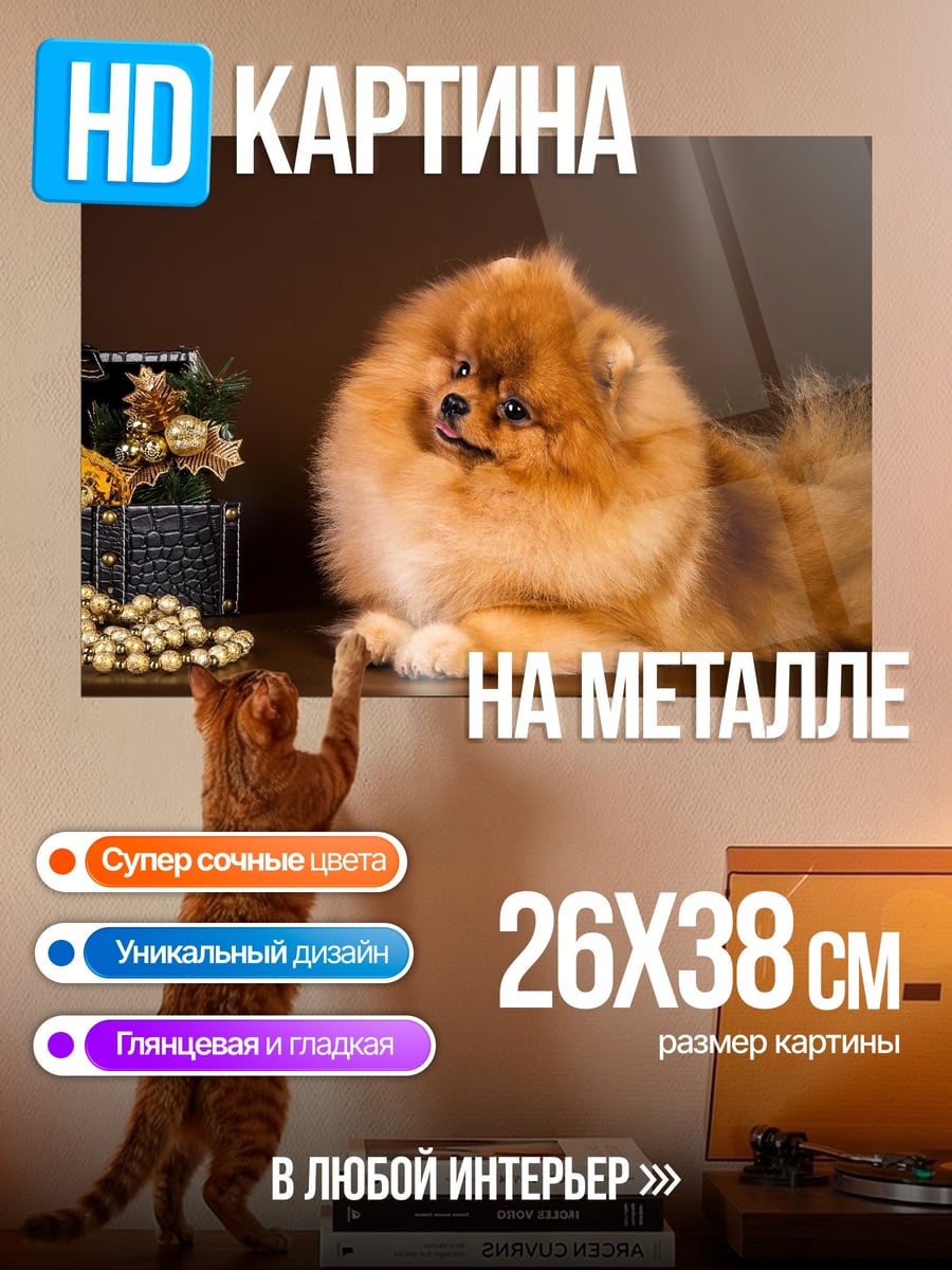 Картина на металле Рыжий шпиц