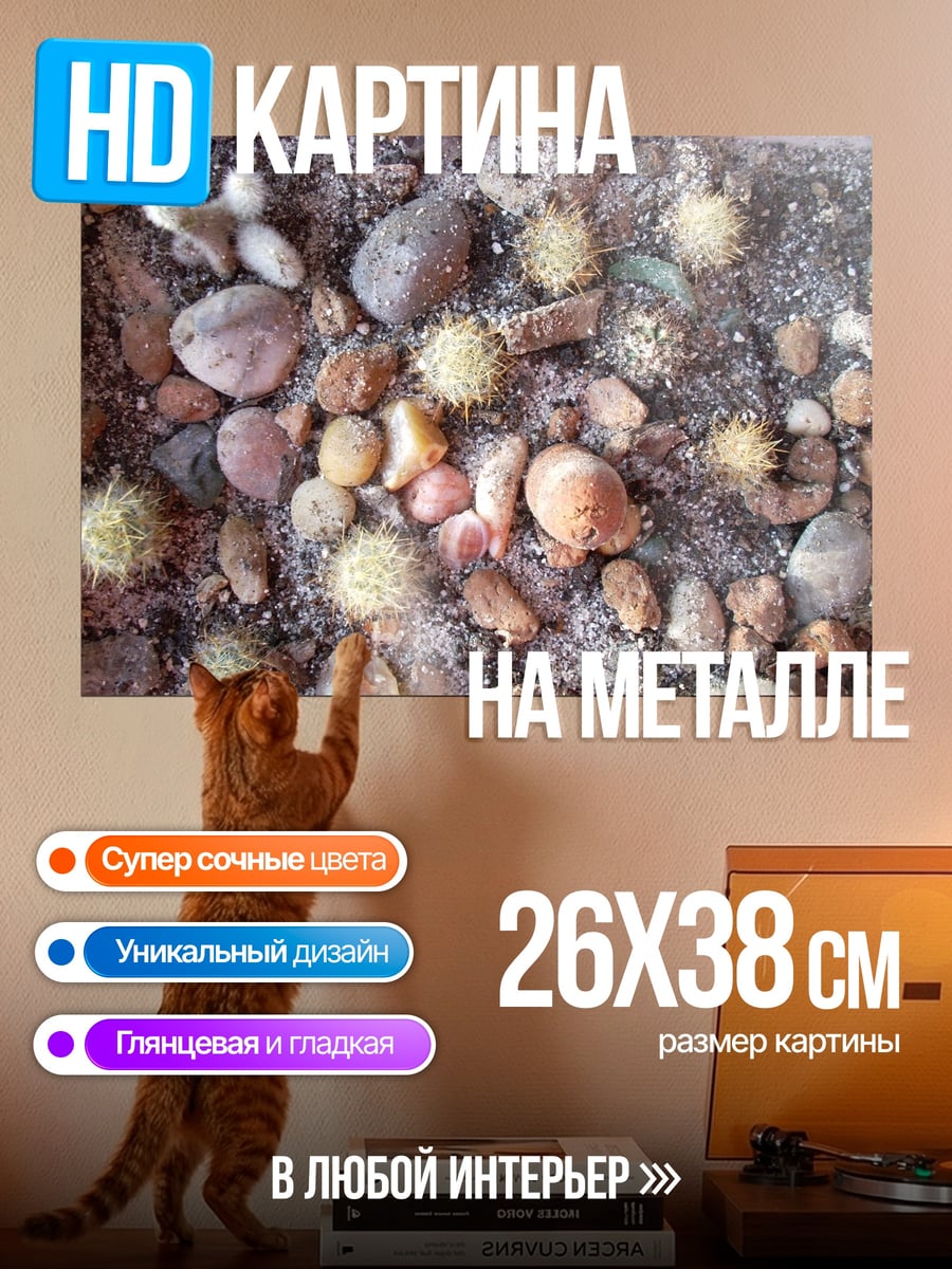 Картина на металле Кактусы и камни