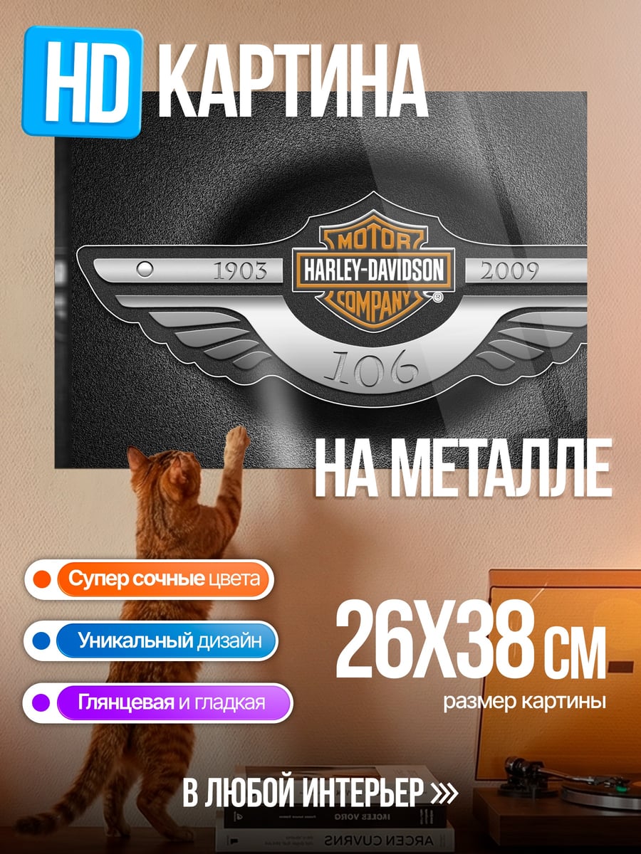 Картина на металле Harley Davidson 100
